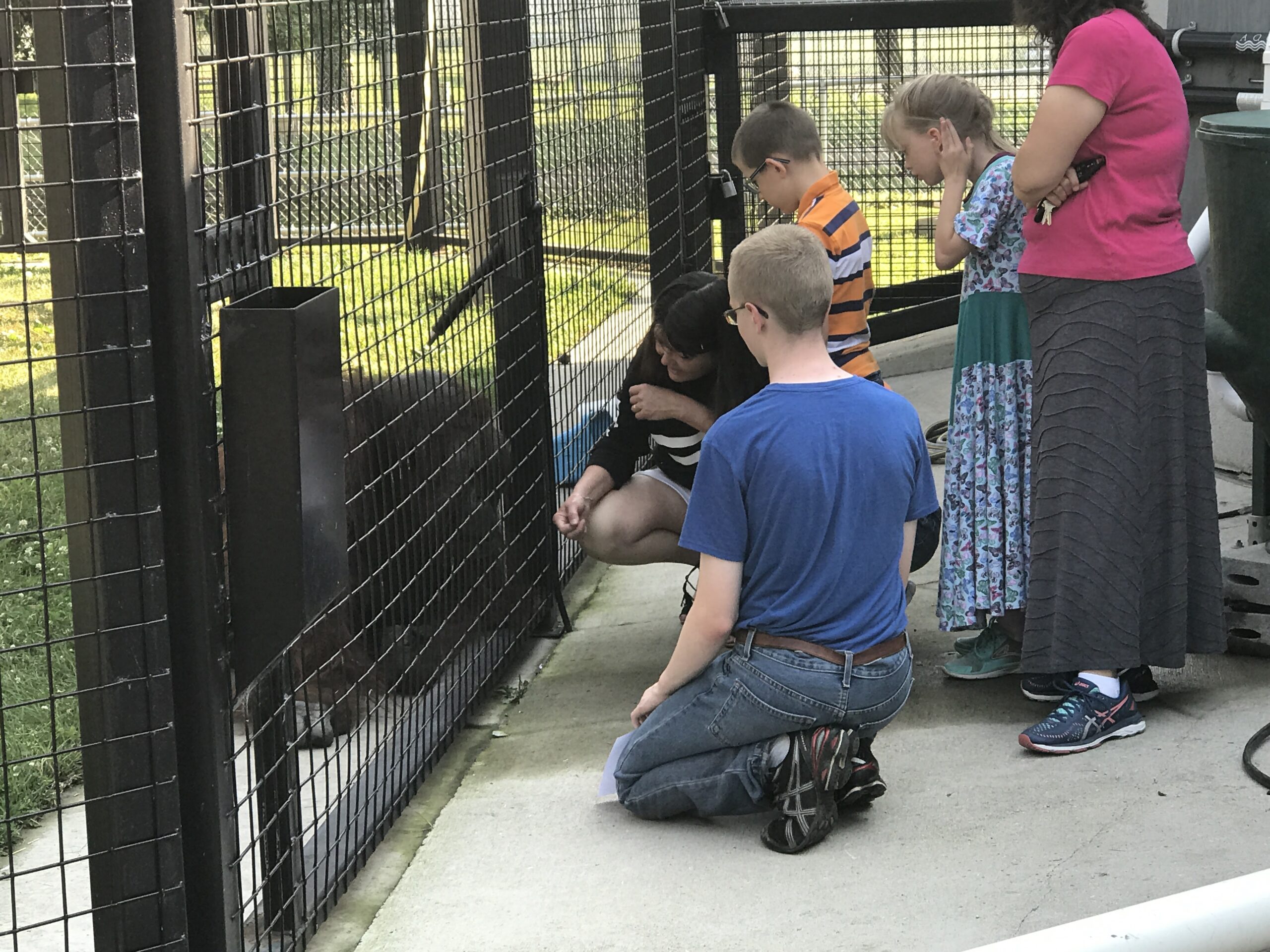 Group of kids at the zoo looking at an orangutan.